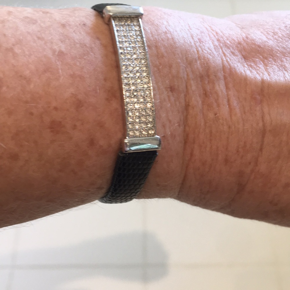 Aligater I D band with CZ